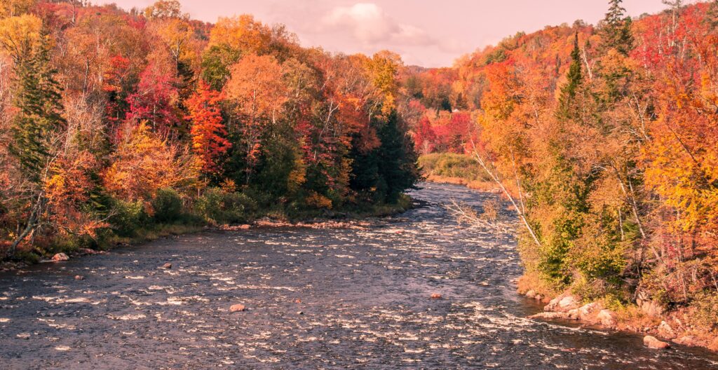 ontario judicial regions map, judicial regions ontario