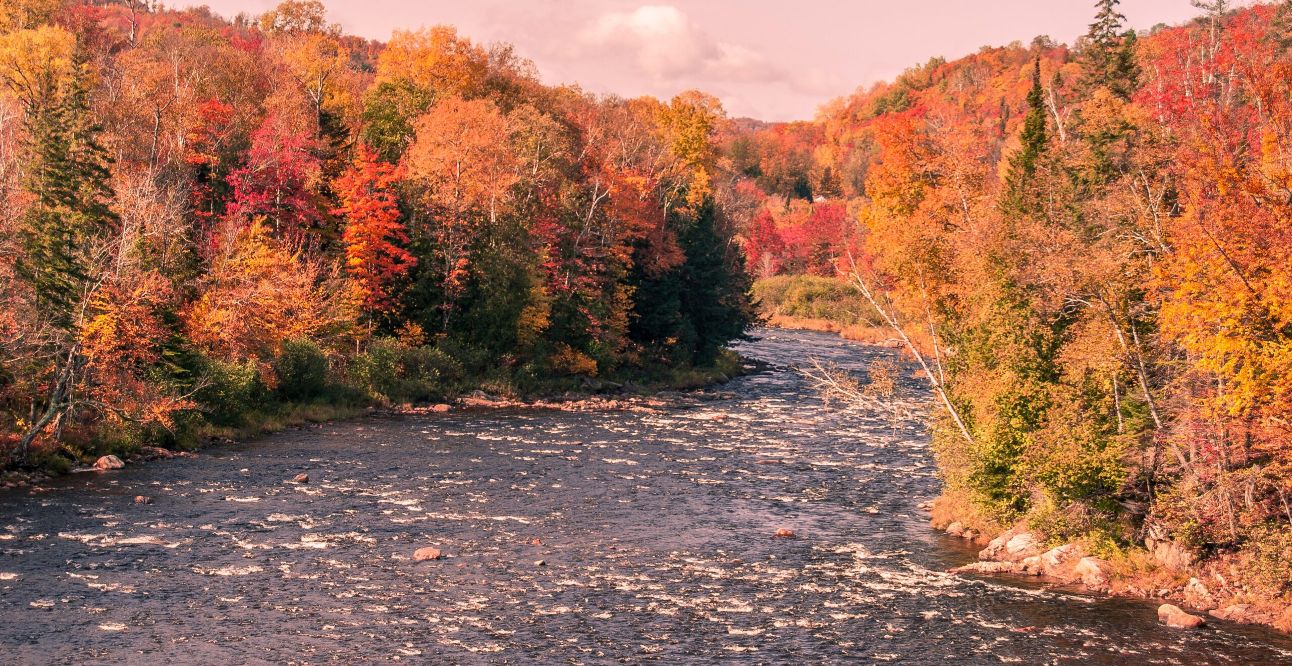 Introducing Ontario’s First Interactive Judicial Regions Map